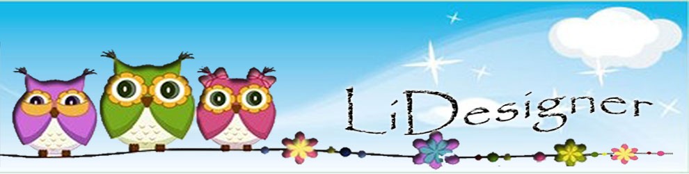 LiDesigner